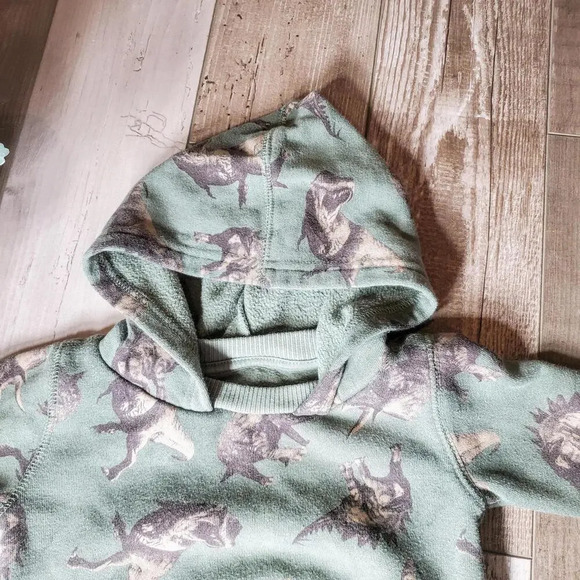 Wonder Nation Toddler Boy Hoodie and Joggers Set 2-Piece Size 12m Green Dino - Picture 12 of 14